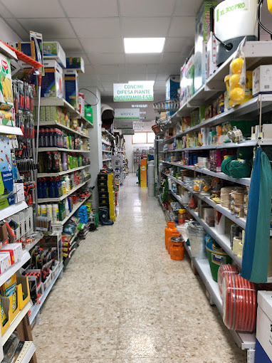 Il negozio di Scafati