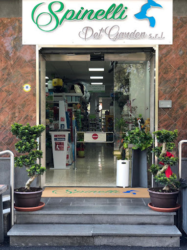 Il negozio di Scafati