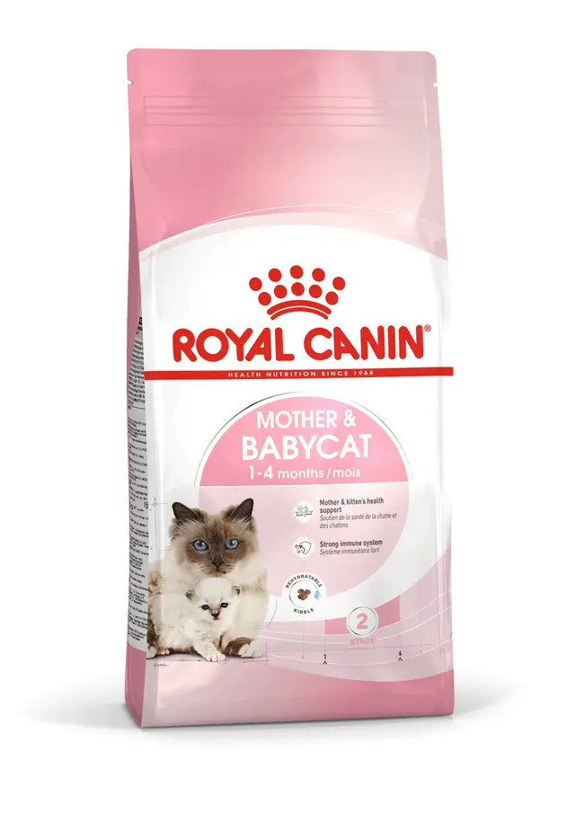Royal Canin First Age Mother & Babycat 2 Kg – Crocchette per Gatte in Gestazione e Allattamento e Gattini da 1 a 4 Mesi