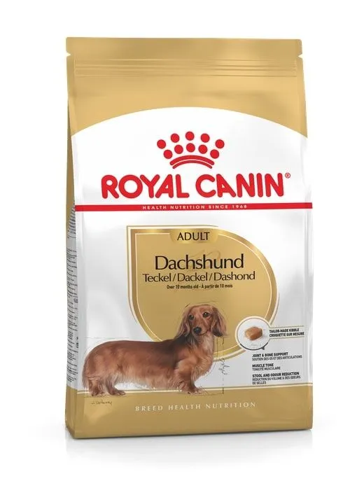 Royal Canin Dachshund Adult 1,5 kg - Crocchette Complete per Bassotto Adulto