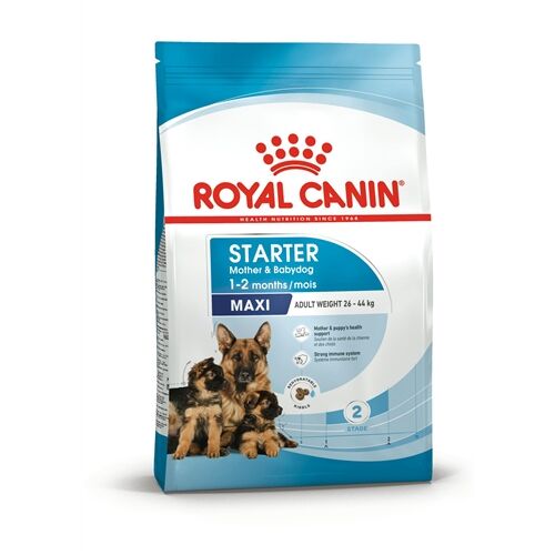 Royal Canin Maxi Starter Mother & Babydog Crocchette per Cani Maxi – Madre e Cuccioli 4kg