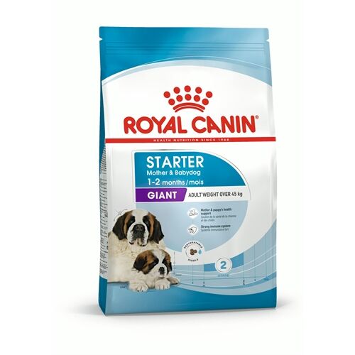 Royal Canin Giant Starter Mother & Babydog 15 Kg – Crocchette per Femmine in Gestazione e Allattamento e Cuccioli di Taglia Gigante