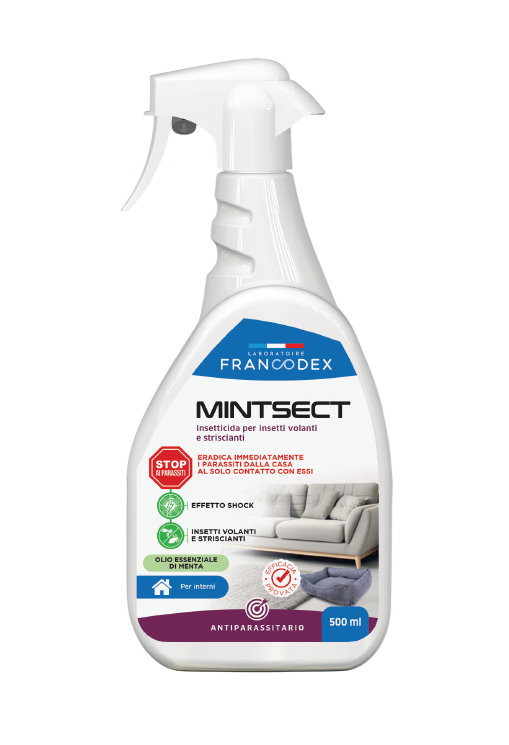 Francodex Mintsect Spray Insetticida per Ambiente Domestico 500ml – Protezione contro Insetti Striscianti e Volanti