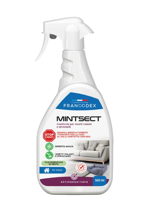 Francodex Mintsect Spray Insetticida per Ambiente Domestico 500ml – Protezione contro Insetti Striscianti e Volanti
