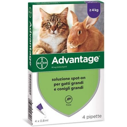 Advantage Antiparassitario Spot-On per Gatti oltre 4 kg – 4 Pipette da 0,8 ml contro le Pulci