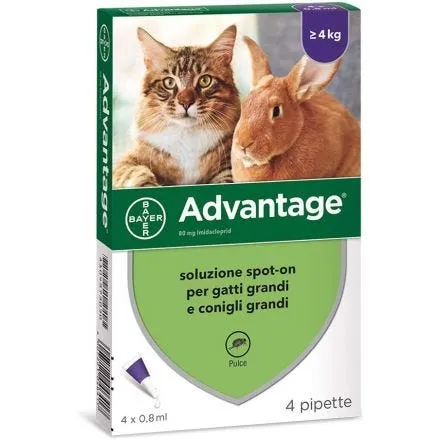 Advantage Antiparassitario Spot-On per Gatti oltre 4 kg – 4 Pipette da 0,8 ml contro le Pulci