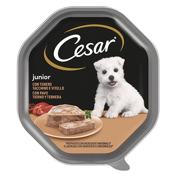 Cesar Junior Vitello e Tacchino 150 g – Alimento Umido Completo per Cuccioli fino a 12 Mesi