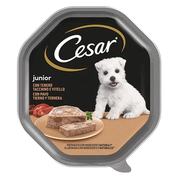 Cesar Junior Vitello e Tacchino 150 g – Alimento Umido Completo per Cuccioli fino a 12 Mesi
