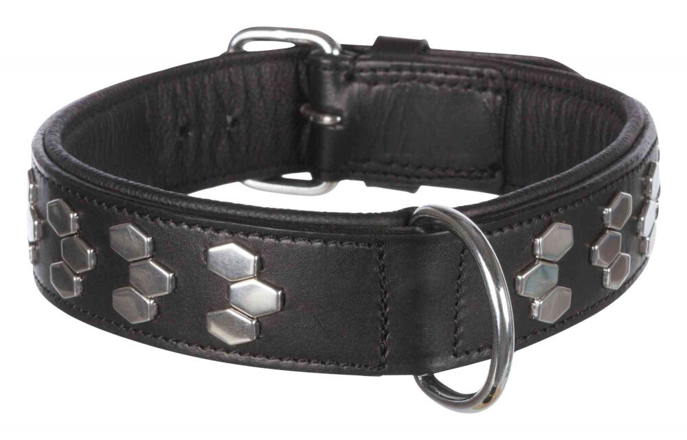 Collare Active Borchiato Nero Taglia L per Cani
