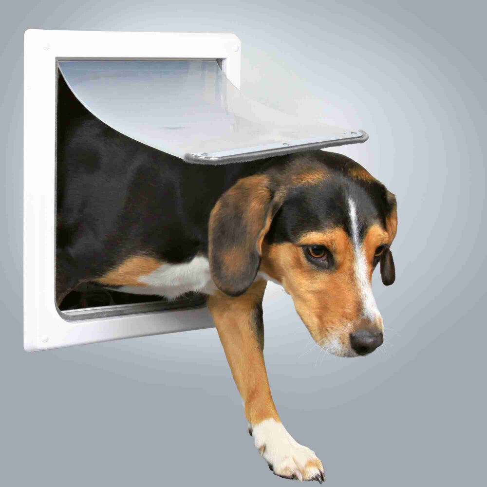 Porta Basculante per Cani e Gatti a 2 Funzioni, Taglia S/M