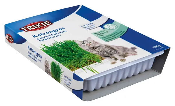 Erba Gatta Naturale in Vaschetta 100 g – Pronta da Coltivare per il Benessere Digestivo del Gatto