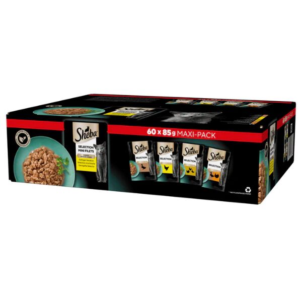 Sheba Multipack 60x85g Selezione Delicata in Salsa
