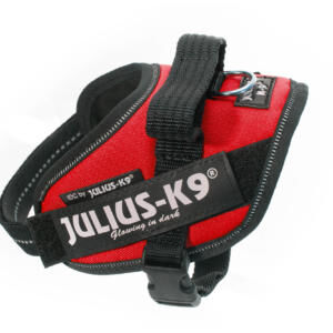 Pettorina Julius K9® Powerharness, Size Mini Rosso