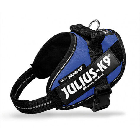 Pettorina Julius K9® Powerharness, Size Mini Blu