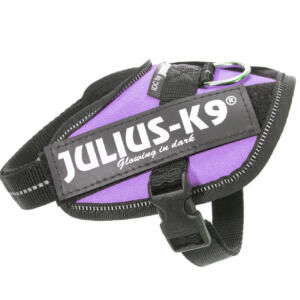 Pettorina Julius K9® Powerharness, Size Baby 2 Viola