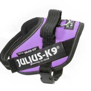 Pettorina Julius K9® Powerharness, Size Mini-Mini Viola