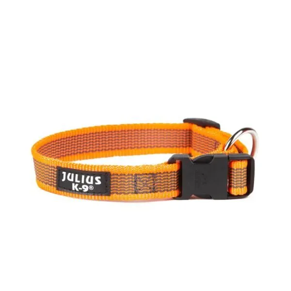 Julius K-9 Collare Arancione 27-42cm per Cani