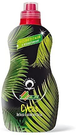 Concime Cycas 1Kg - Per una crescita rigogliosa