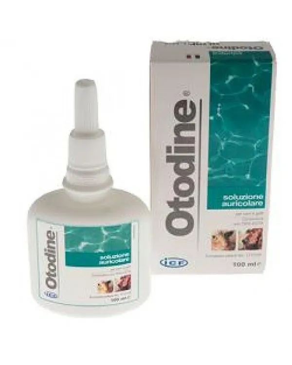Otodine 100ml