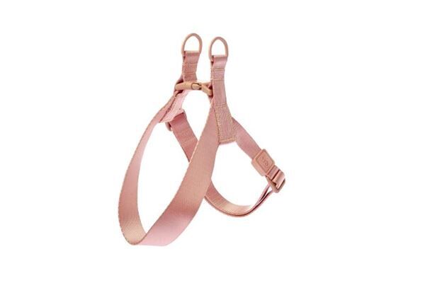 Ferribiella Pettorina ad Y Suprema Rosa XXS Rosa