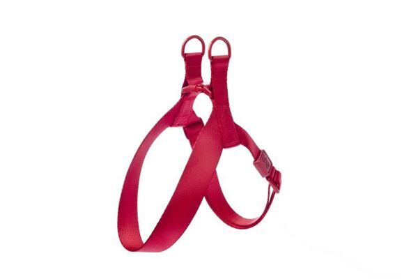 Ferribiella Pettorina ad Y Suprema Rosso S Rosso