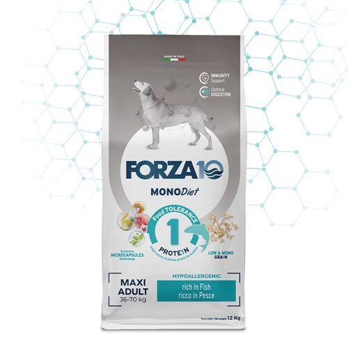 FORZA10 Maxi Adult MonoDiet Pesce 12 kg – Crocchette Monoproteiche al Pesce per Cani Adulti di Taglia Grande