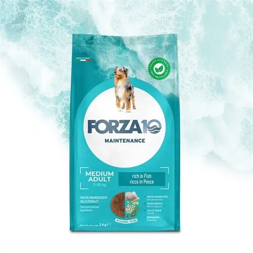 FORZA10 Adult Medium Pesce – Crocchette al Pesce per Cani Adulti di Taglia Media