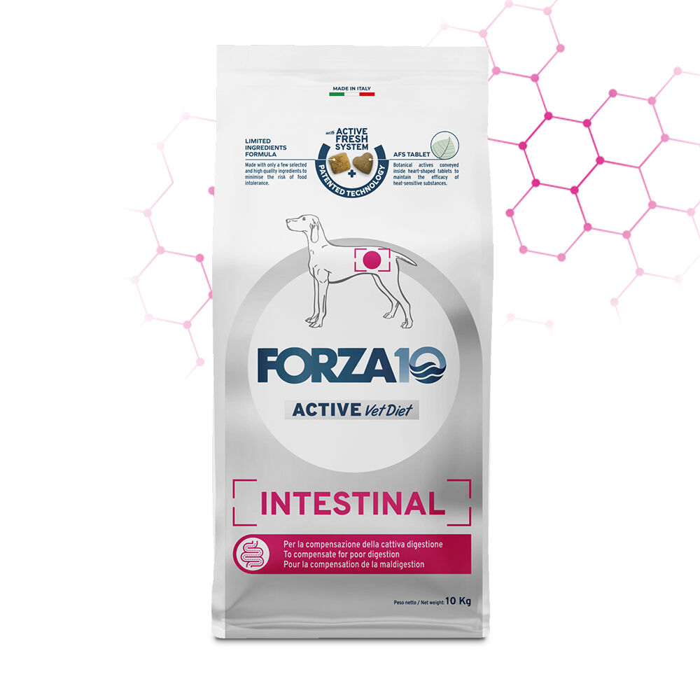 FORZA10 Intestinal Active – Alimento Dietetico Completo per Cani con Disturbi Gastrointestinali 10kg