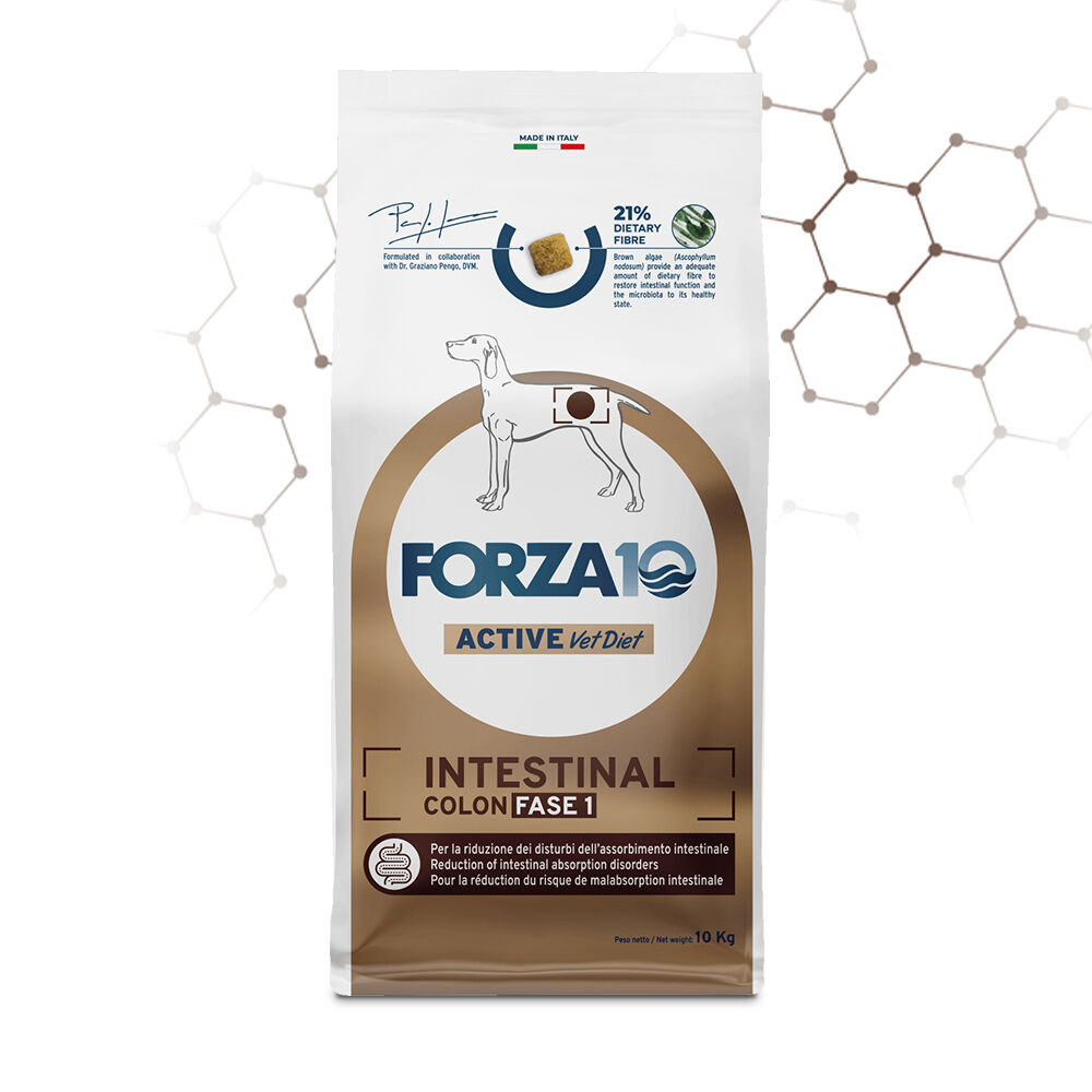 FORZA10 Intestinal Colon Fase I – Pesce | Alimento Dietetico Completo per Cani con Disturbi Gastrointestinali 10kg
