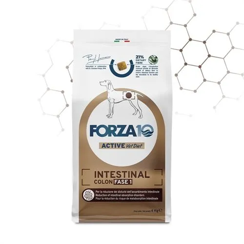 FORZA10 Intestinal Colon Fase I – Pesce | Alimento Dietetico Completo per Cani con Disturbi Gastrointestinali
