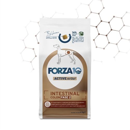 FORZA10 Intestinal Colon Fase II – Pesce | Alimento Dietetico Completo per il Benessere Intestinale del Cane 4kg