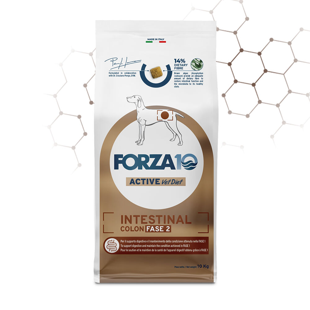 FORZA10 Intestinal Colon Fase II – Pesce | Alimento Dietetico Completo per il Benessere Intestinale del Cane 10kg