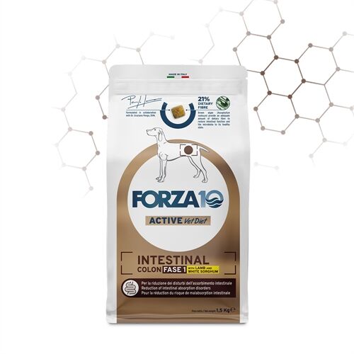 FORZA10 Intestinal Colon Fase I – Agnello e Sorgo Bianco | Alimento Dietetico Completo per Cani con Disturbi Gastrointestinali 10kg