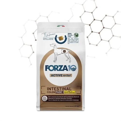 FORZA10 Intestinal Colon Fase I – Agnello e Sorgo Bianco | Alimento Dietetico Completo per Cani con Disturbi Gastrointestinali