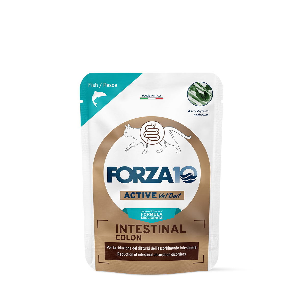 FORZA10 Intestinal Colon Cat Patè Pesce 100 g – Alimento Dietetico Umido per Gatti Adulti con Disturbi Intestinali
