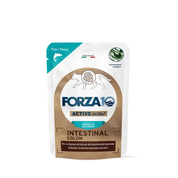 FORZA10 Intestinal Colon Cat Patè Pesce 100 g – Alimento Dietetico Umido per Gatti Adulti con Disturbi Intestinali