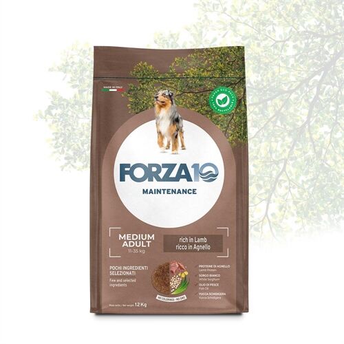 FORZA10 Adult Medium Agnello e Riso 12 kg – Crocchette all'Agnello per Cani Adulti di Taglia Media