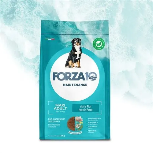 FORZA10 Adult Maxi Pesce 12 kg – Crocchette al Pesce per Cani Adulti di Taglia Grande