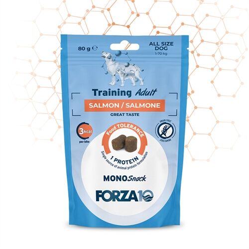 FORZA10  Training Adult Salmone 80g