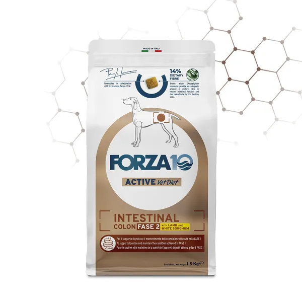 FORZA10 Intestinal Colon Fase II – Agnello e Sorgo Bianco | Alimento Dietetico per Cani con Disturbi Intestinali