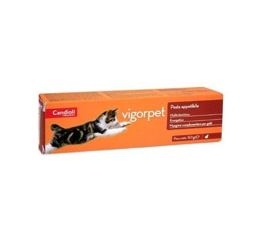 Vigorpet Pasta Integratore per Gatti 50 g – Vitamine e Aminoacidi per Energia e Benessere