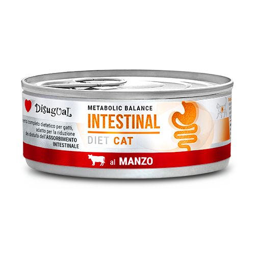 Disugual Metabolic Balance Cat Intestinal 85g – Alimento Dietetico Umido per Gatti con Disturbi dell'Assorbimento Intestinale Manzo