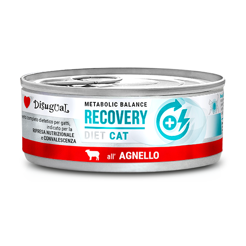 Disugual Metabolic Balance Cat Recovery 85g – Alimento Dietetico Umido per Gatti in Convalescenza e Ripresa Nutrizionale Agnello