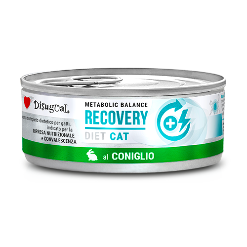 Disugual Metabolic Balance Cat Recovery 85g – Alimento Dietetico Umido per Gatti in Convalescenza e Ripresa Nutrizionale Coniglio