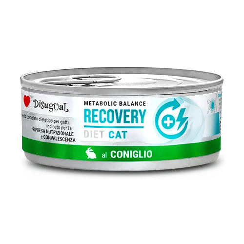Disugual Metabolic Balance Cat Recovery 85g – Alimento Dietetico Umido per Gatti in Convalescenza e Ripresa Nutrizionale
