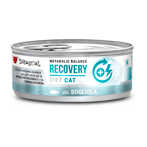 Disugual Metabolic Balance Cat Recovery 85g – Alimento Dietetico Umido per Gatti in Convalescenza e Ripresa Nutrizionale Sogliola