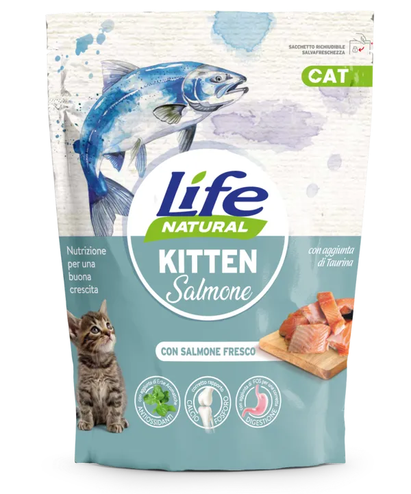 Life Cat Kitten Salmone 800g