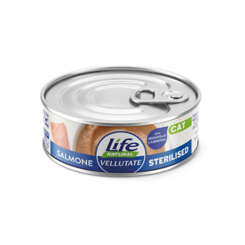 LifeCat Vellutate 70g Salmone - Sterilised