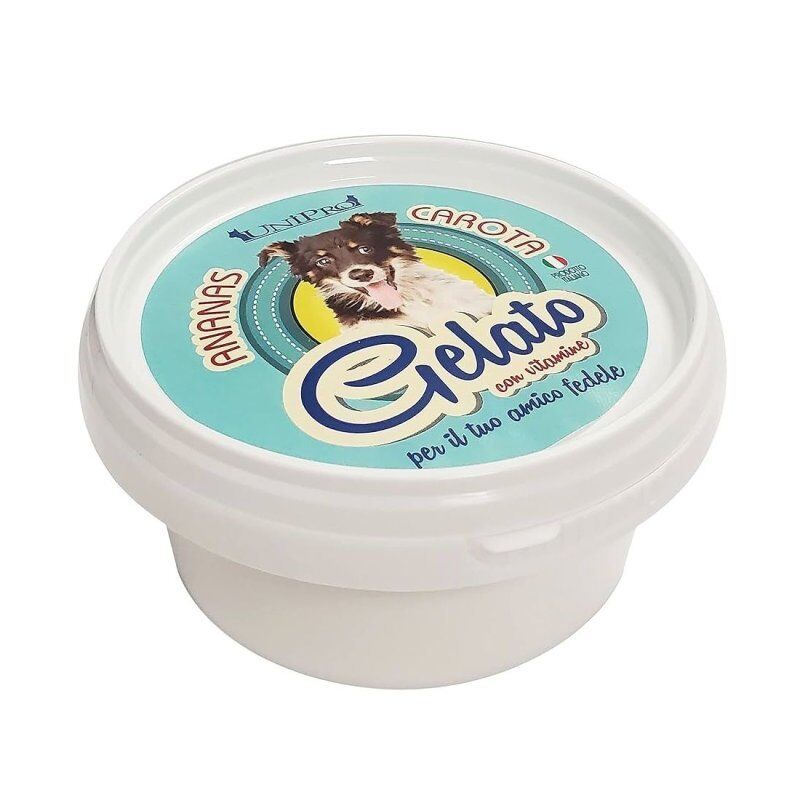 Unipro Gelato Ananas e Carote 60g