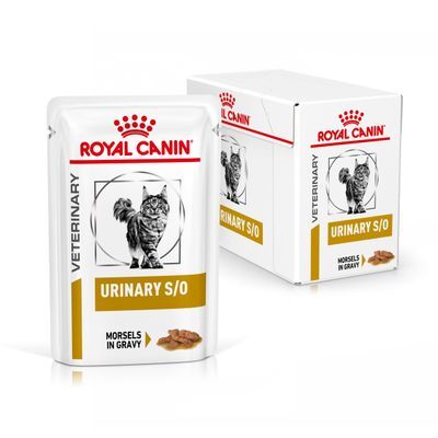 Royal Canin Urinary S/O in Salsa 12x85g – Alimento Dietetico Completo per Gatti con Patologie delle Vie Urinarie